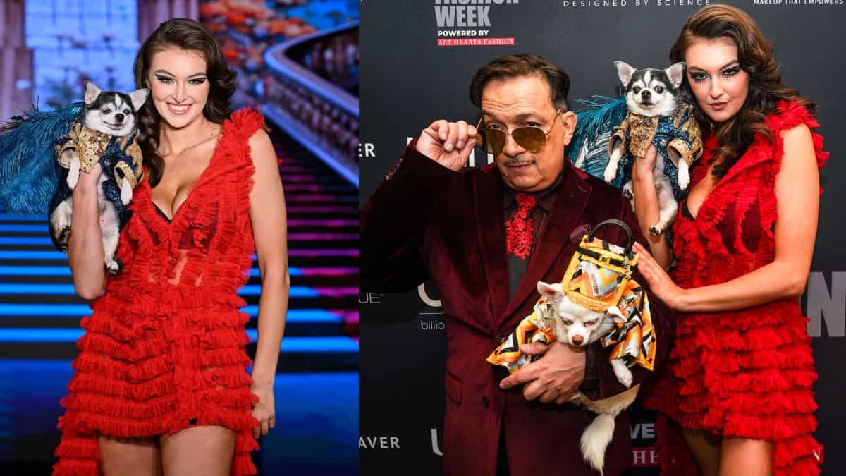 Dogs glam! Canine couture takes over the runway at New York Fashion Week Dogs glam! Canine couture takes over the runway at New York Fashion Week