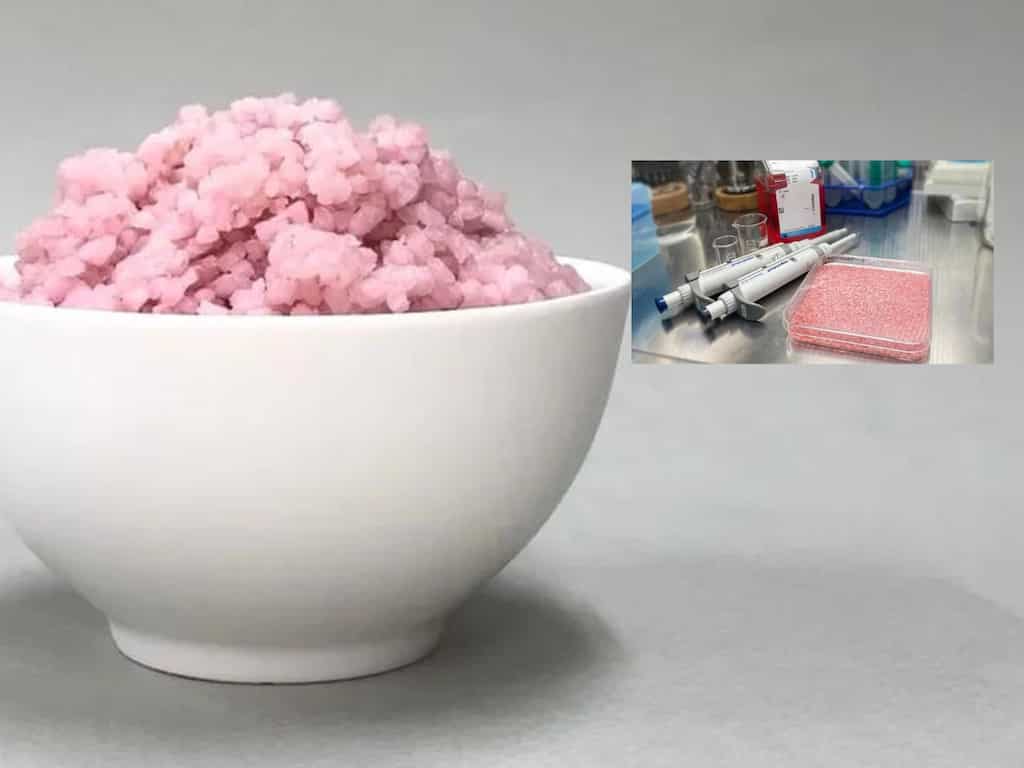 Korean scientists develop 'non-vegetarian' rice, claim it to be much more eco-friendly source of protein