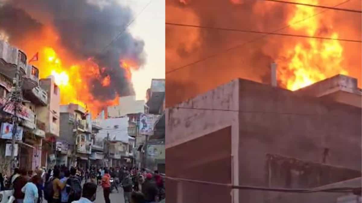 India: 11 dead in fire at a paint factory in Delhi's Alipur India: 11 dead in fire at a paint factory in Delhi's Alipur