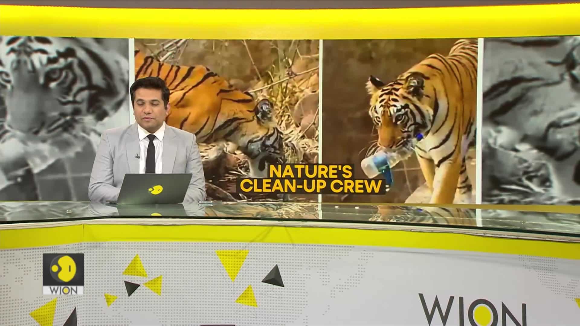 Plastic s Devastating Impact On Wildlife WION Fineprint News plastic-s-devastating-impact-on-wildlife-wion-fineprint-news