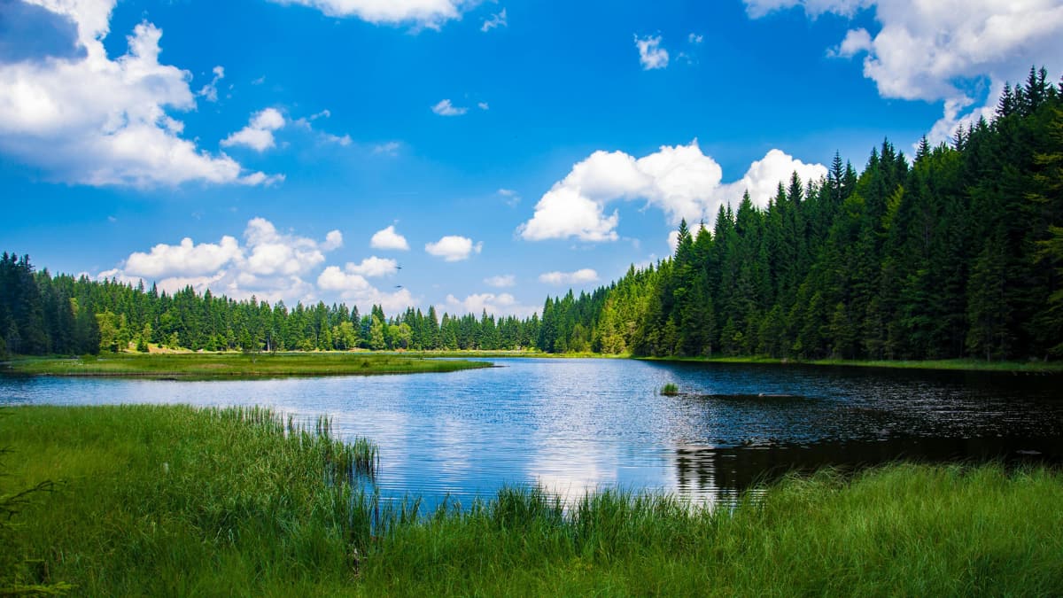 A shallow, salty lake in Canada may have an explanation for the origin ...