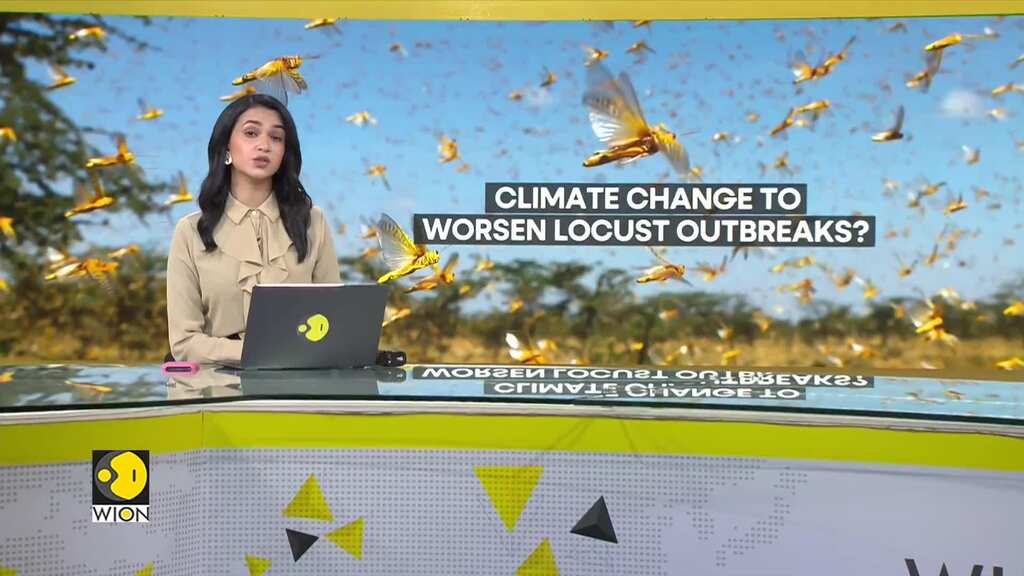 Locust hotspots could expand due to rising temperatures: Study