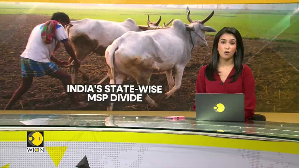 Can MSP ensure farmer income while keeping food affordable?