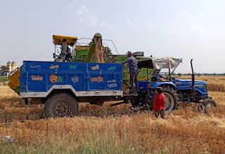 The MSP divide: A closer look at India's agricultural economics