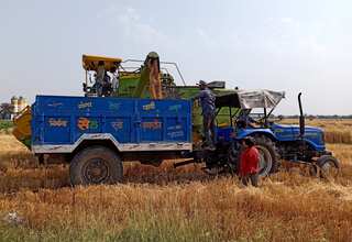 The MSP divide: A closer look at India's agricultural economics
