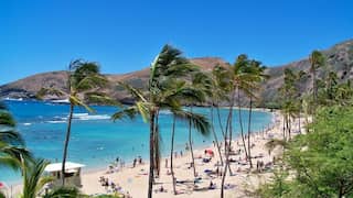 Planning a trip to Hawaii as tourist? You might have to pay climate fee