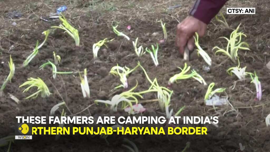 Farmers Protest: Indian farmers grow onions on highway as a new form of dissent