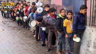 Israel-Hamas war: World Food Programme pauses food deliveries to northern Gaza