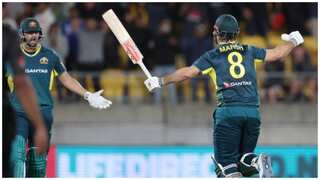 NZ vs Aus, 1st T20I: Mitchell Marsh, Tim David seal last-ball win for Australia in pursuit of 216