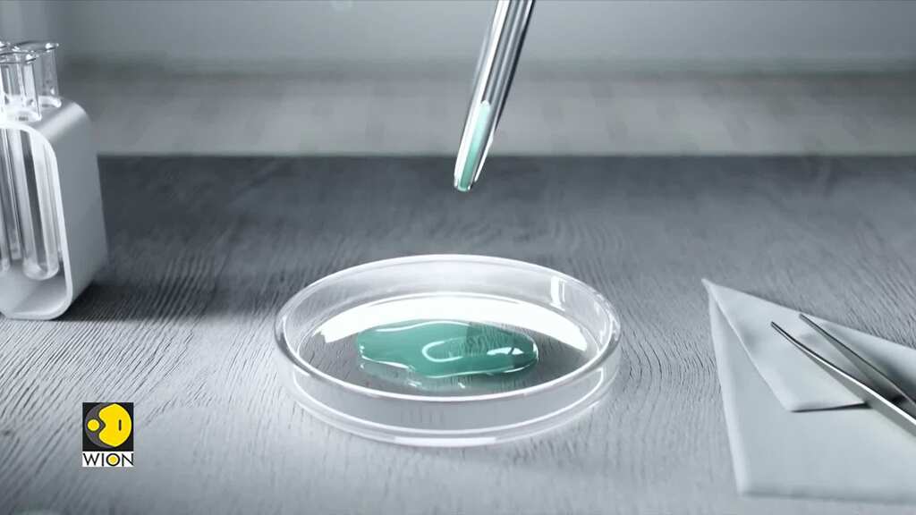 Gravitas | Is freezing your egg the key to motherhood?