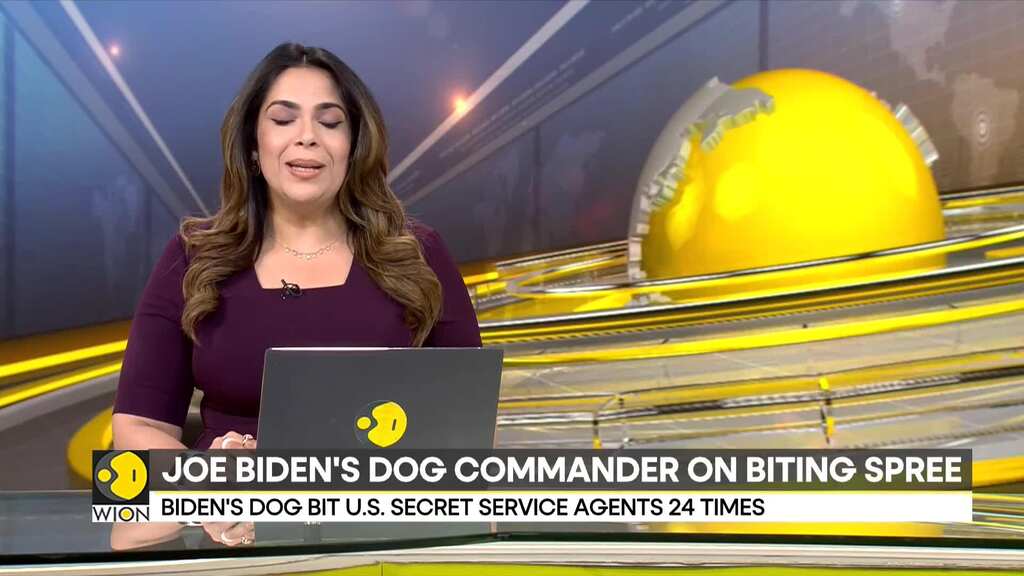 Joe Biden's dog bit U.S. secret service agent 24 times