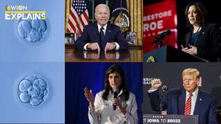WION Explains: The 'embryos are babies' debate and how it will affect 2024 US Presidential elections