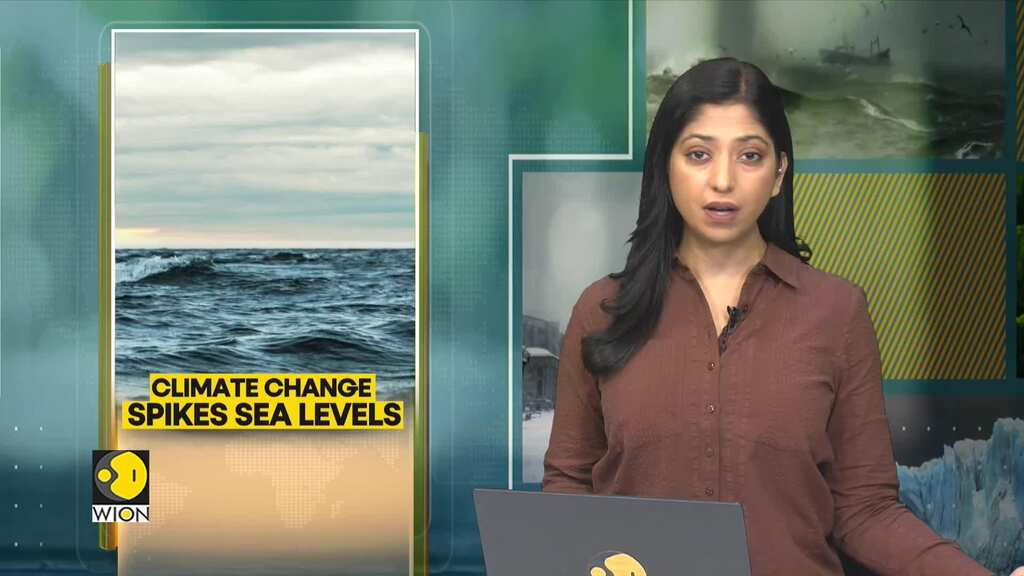 Snow blankets South Korea, disrupts traffic