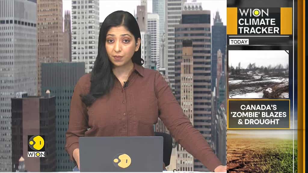 Austria's labour minister talks to WION about mobility pact between India and Austria