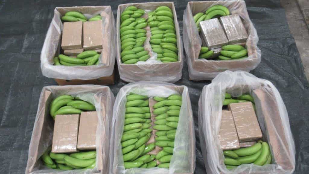 UK authorities make record-breaking 5.7 tonnes cocaine seizure; drugs were found hidden in cargo of bananas