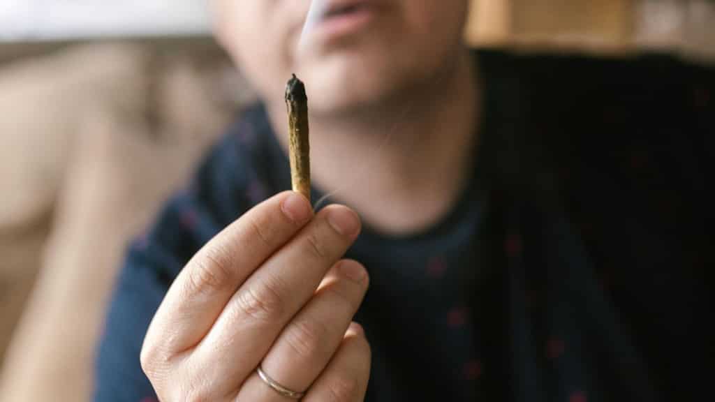 German parliament supports partial legalisation of cannabis, doctors warn against risk of addiction
