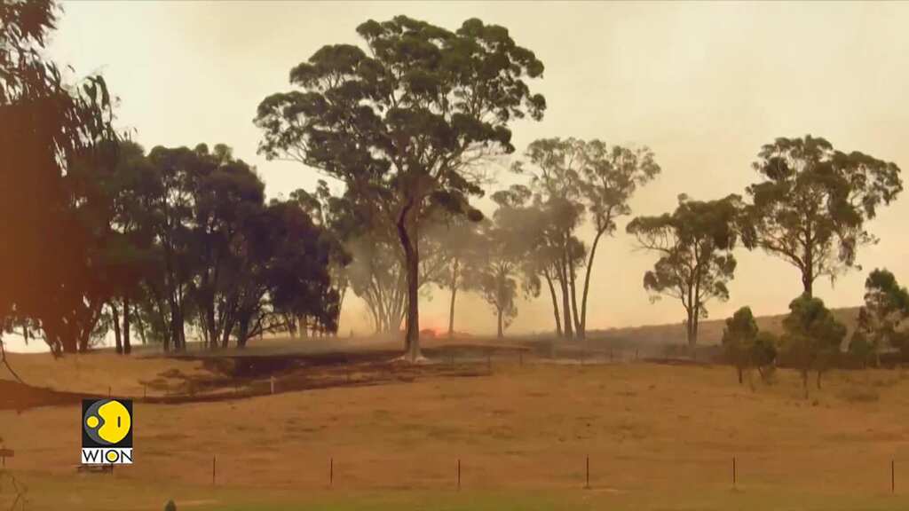Australian PM pledges support as wildfires destroy homes, force evacuations