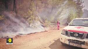 Wildfires rage across Australia | Jacarandas blooms early in Mexico