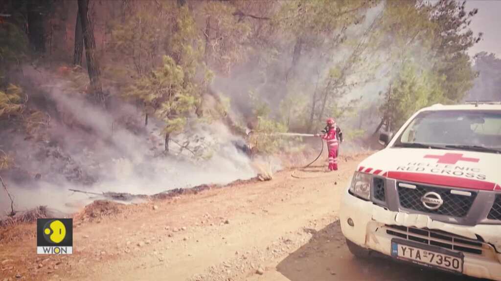 Wildfires rage across Australia | Jacarandas blooms early in Mexico