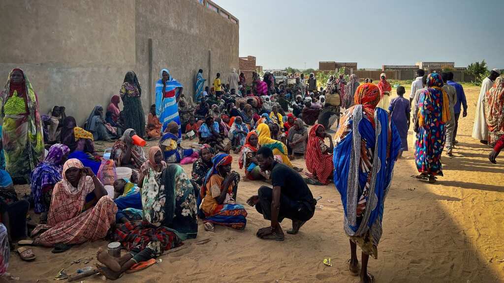 'Babies are already dying': Aid worker warns of dire consequences as Sudan blocks cross-border aid to Darfur