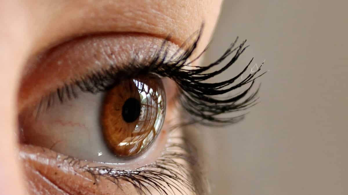 Scientists discover gut bacteria's role in genetically-linked vision loss Scientists discover gut bacteria's role in genetically-linked vision loss