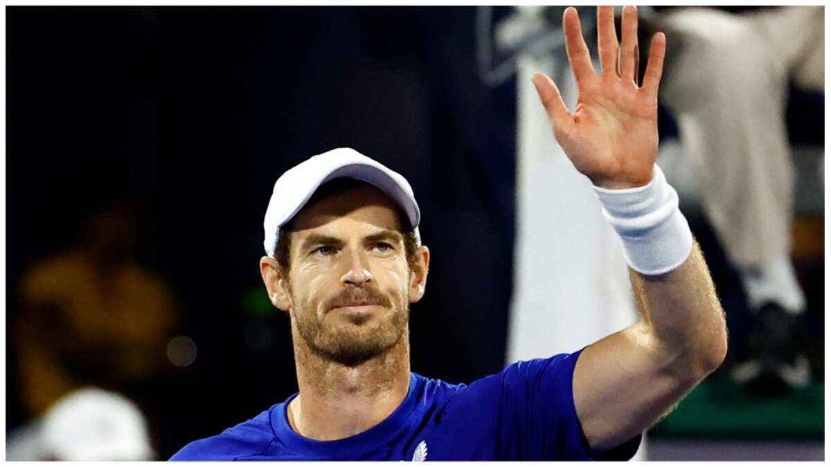 Tennis: Andy Murray drops retirement hint after 500th hard-court victory in Dubai Tennis: Andy Murray drops retirement hint after 500th hard-court victory in Dubai