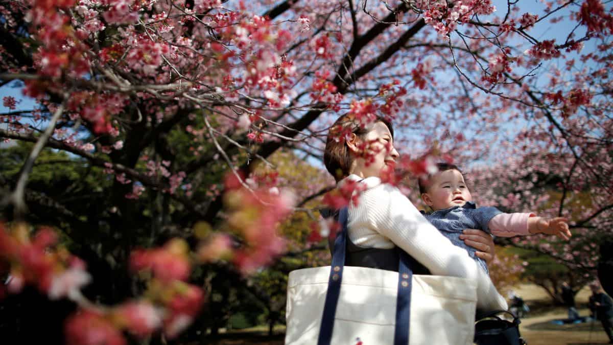 'Critical situation': Japan's number of births fell to record low in 2023, marriages down by 5.9%