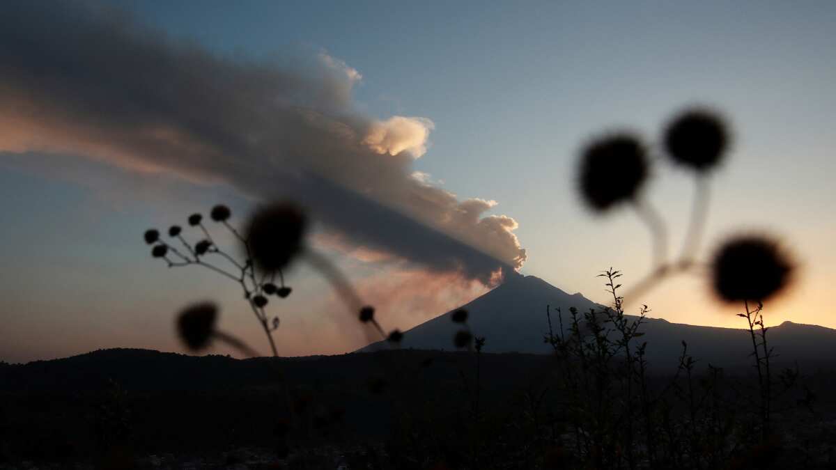 Popocatepetl volcano spews ash, nearly two dozen Mexico City flights cancelled Popocatepetl volcano spews ash, nearly two dozen Mexico City flights cancelled