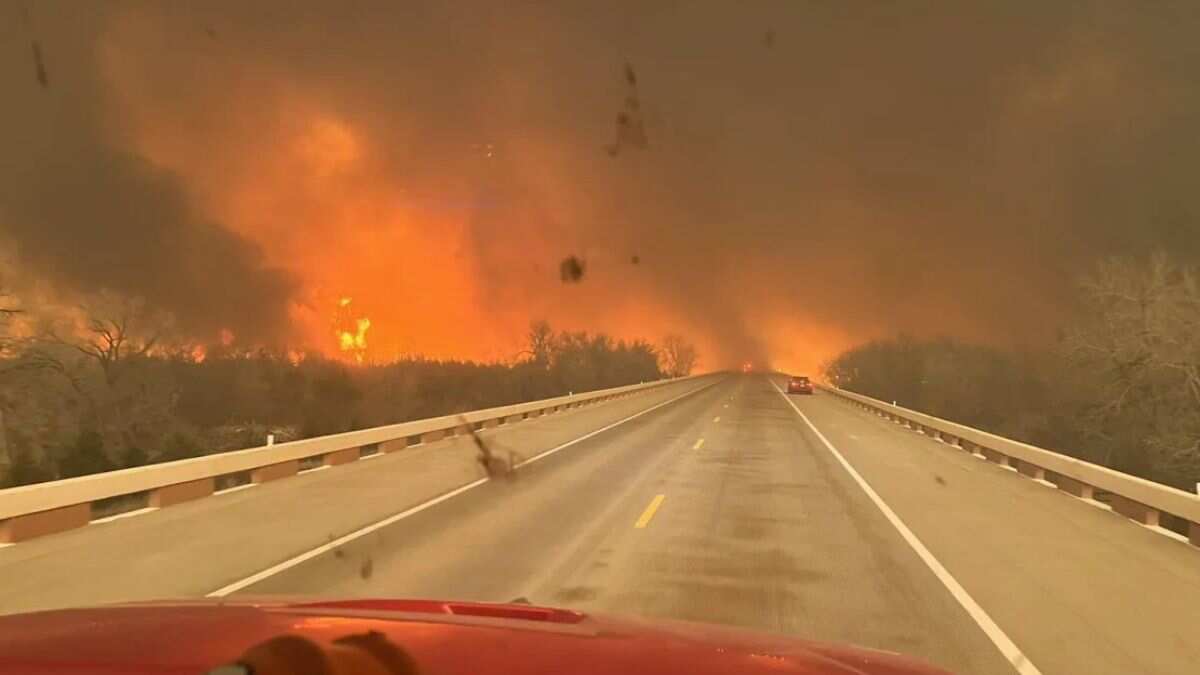 Largest wildfire in Texas history claims 1 million acres, kills 2 ...