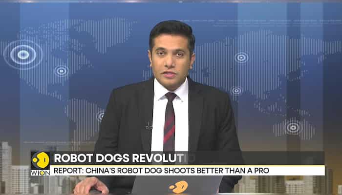 China's robotic dog can shoot like a pro, says report