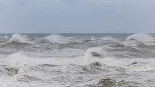 Activists urge UN states to move faster on high seas treaty