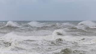 Activists urge UN states to move faster on high seas treaty