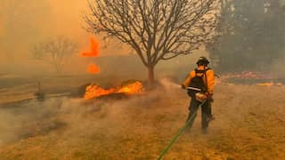Rainfall provides slight reprieve from Texas' largest-ever wildfire