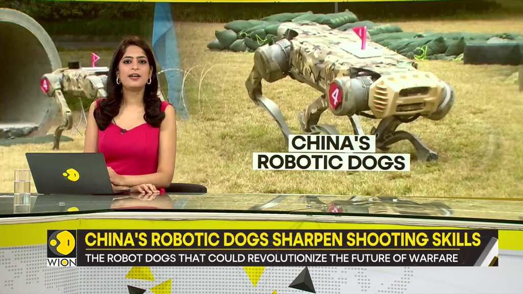Gravitas | Is China creating robotic dogs?