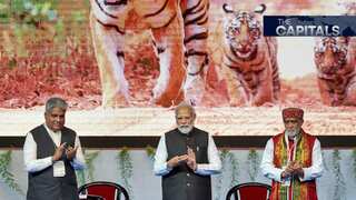 The Capitals: Delhi's template for Big Cat diplomacy; Korean doctors take to Seoul streets; and more