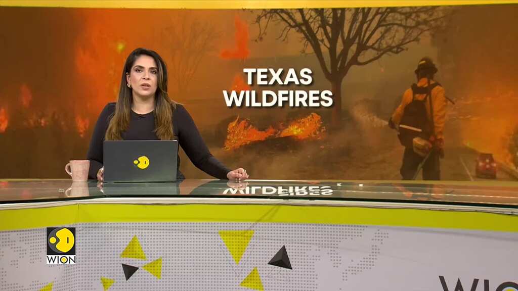 US: Texas officials warn of more fire dangers over weekend | WION Climate Tracker