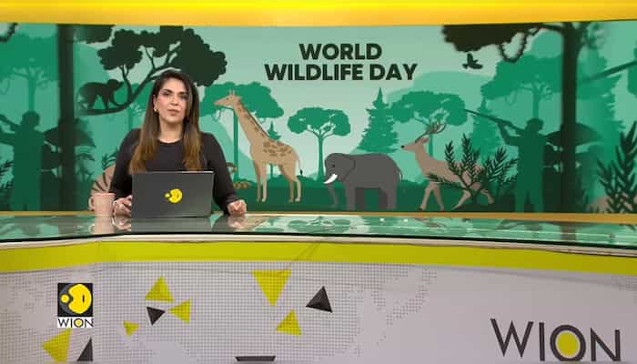 World marked March 3 as World Wildlife day