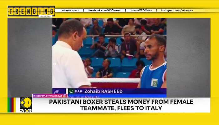 Pakistani Boxer steals money from female teammate, flees to Italy | Trending on WION