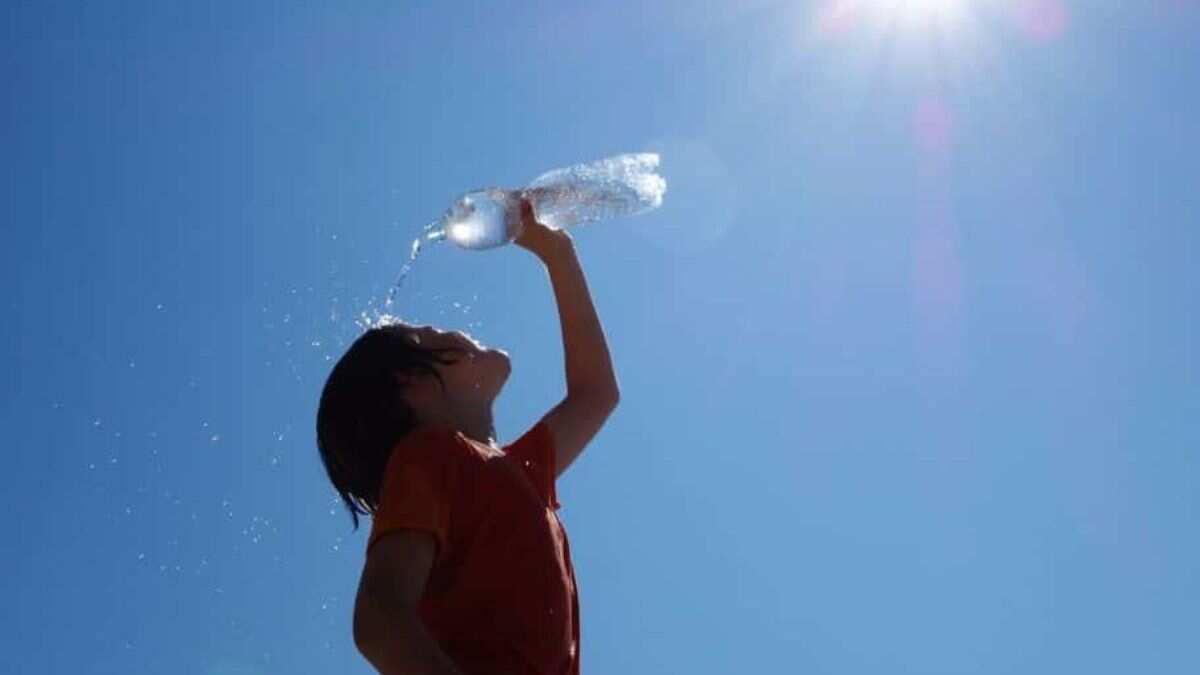 El Nino weakens but will sustain elevated temperatures: UN weather agency El Nino weakens but will sustain elevated temperatures: UN weather agency