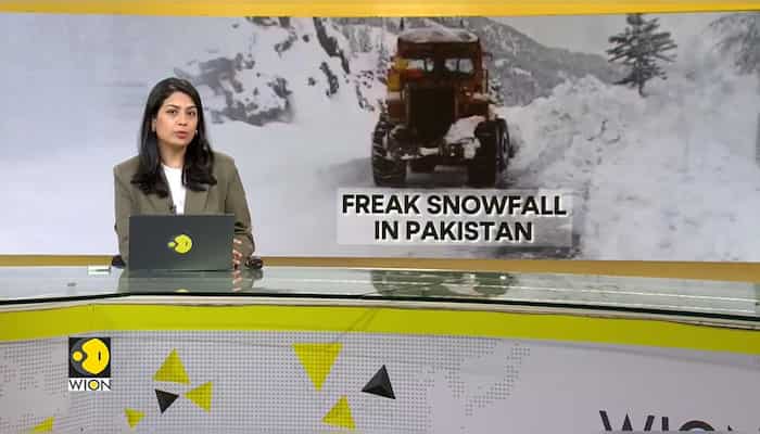35 dead in Pakistan's extreme weather | Arctic may soon be ice free: Report