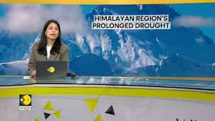 90% of Himalayas to face year-long drought at 3°c warming: Study