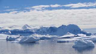 Arctic Ocean could experience ‘ice-free’ summer days within the next decade, says study