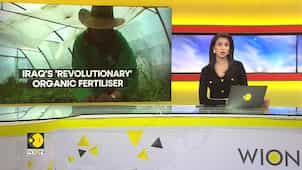 Iraqi woman's ingenious solution for waste management