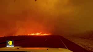 Wildfires: The burning issue