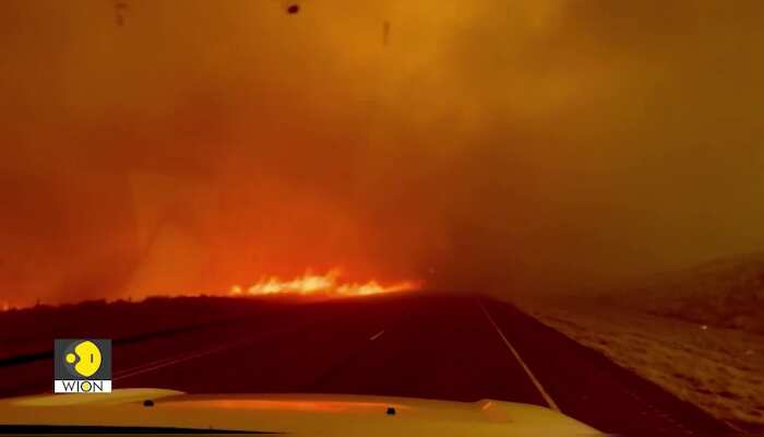 Wildfires: The burning issue