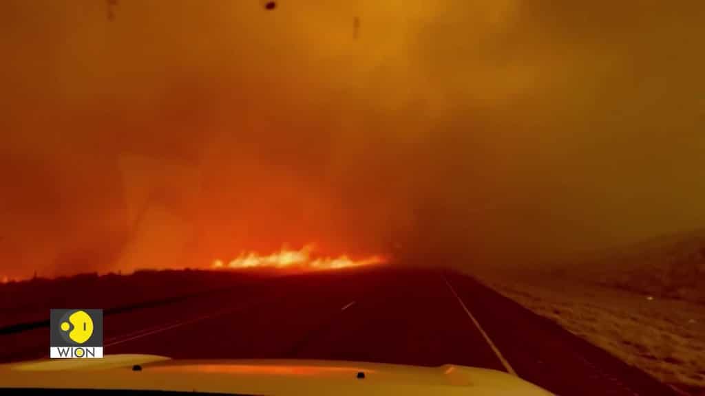 Wildfires: The burning issue