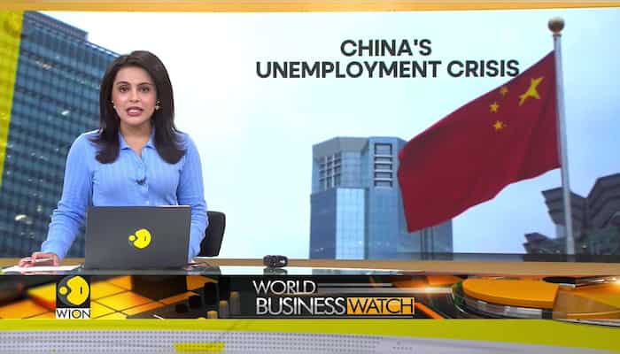 China to see 11.79 million college graduates this year