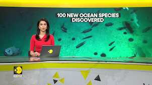 Scientists discover 100 new species off the coast of New Zealand