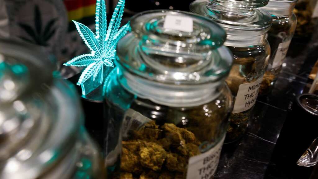 Girls have outshined boys in using marijuana in the United States: Study