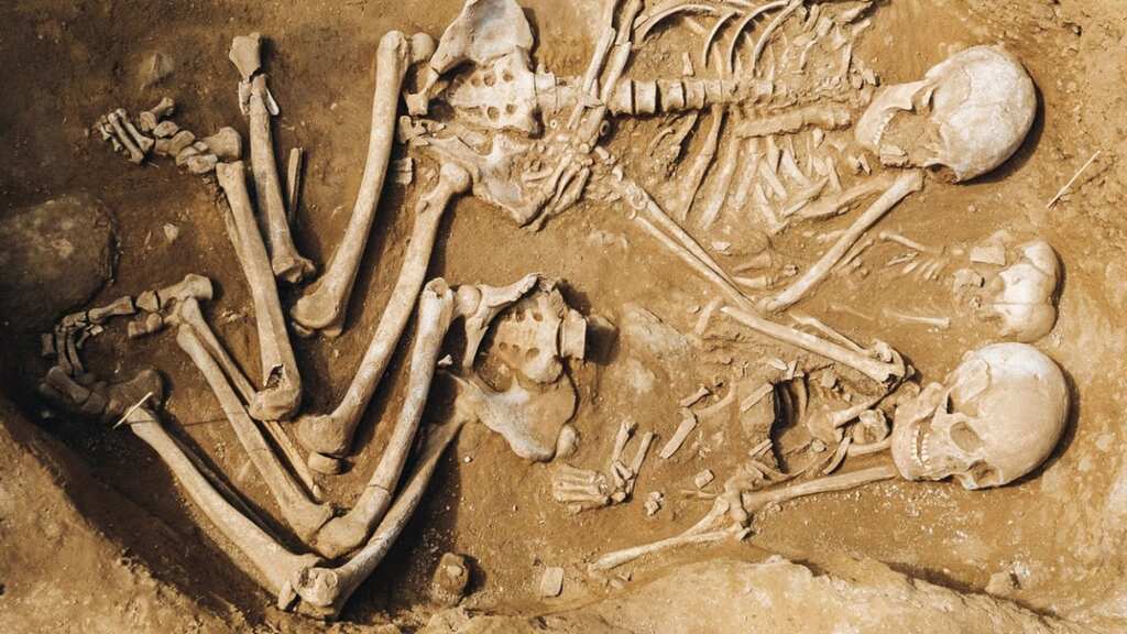 Archaeologists discover earliest direct evidence of body piercings in Neolithic graves in Turkey